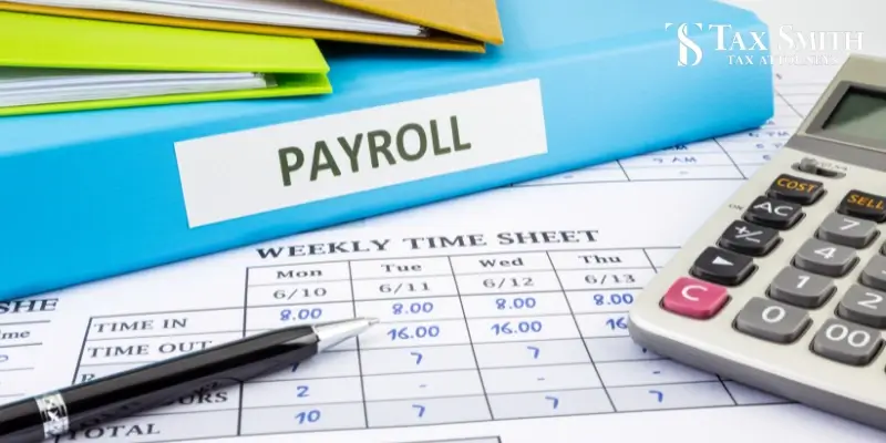 Expert Tampa Payroll Tax Lawyer