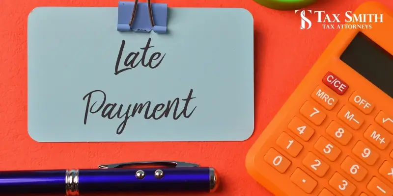 Expert Tampa Penalty Abatement Lawyer