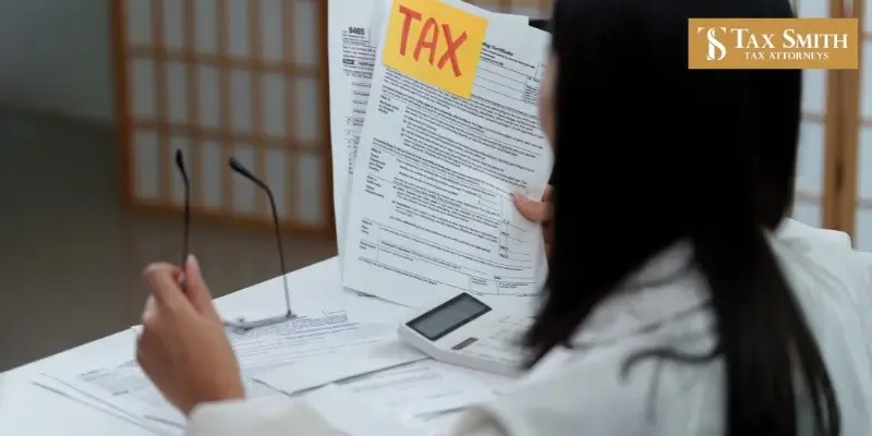 best venice state tax lawyer